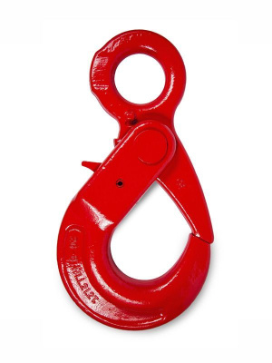 Крюк самозакрывающийся с проушиной TOR 21,2 
т