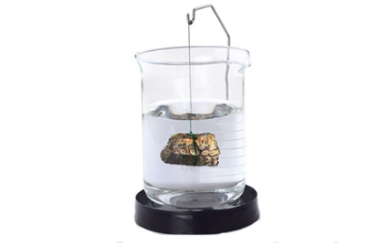 OHAUS (набор для определения плотности для SPX, STX, SJX/E) - Комплекты для гидростатического взвешивания