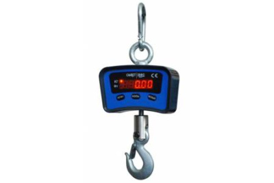 ВЭК/1-500 (ВЭК-500) (без поверки) - Электронные крановые весы